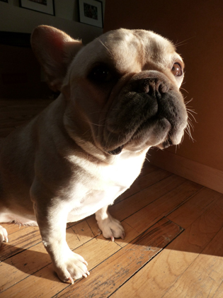 RIP, Boris.